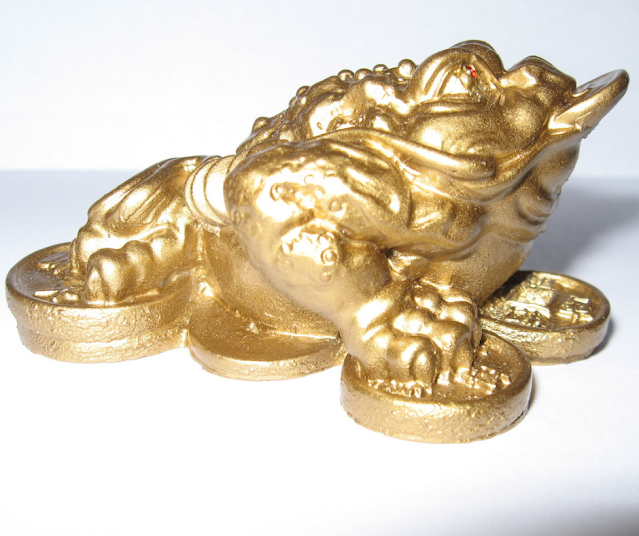 Gold Money Frog on Coins