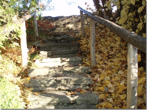 Halloween 044