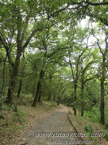 Tramo III del Corredor Verde Dos Bahías en bici