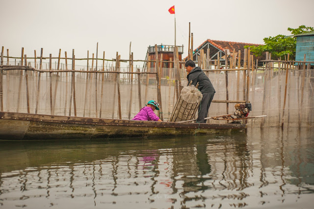 Cuộc sống trên sông nước tại Đầm Chuồn, Phá Tam Giang