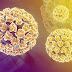 Virus HPV là gì có nguy hiểm không?