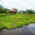 Pembangunan Embung Rawa Sari Desa Rejosari Menui Keluhan Warga Setempat