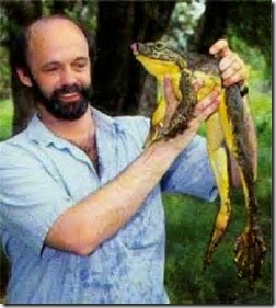 Goliath frog