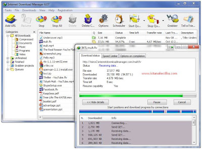 Internet Download Manager