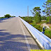 Ninho de Vespas no Viaduto: