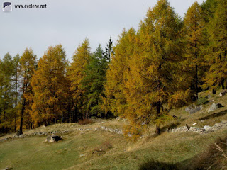 Mayen de Zorasses - 20 octobre 2012