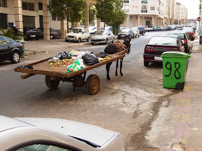 Parked Donkey Cart