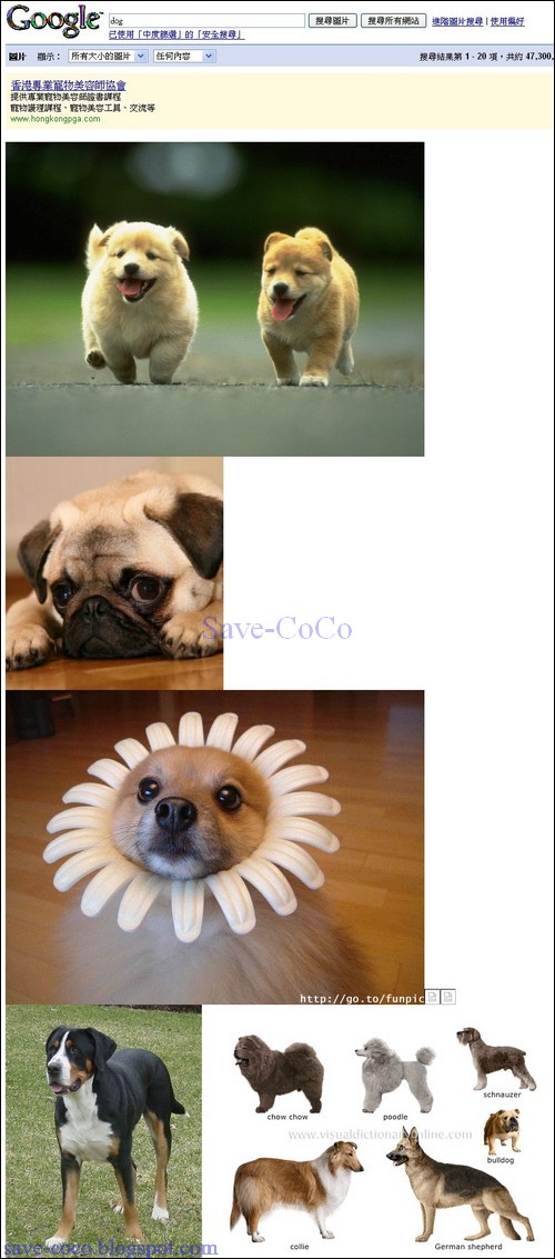 Google_Image_Ripper_005.jpg