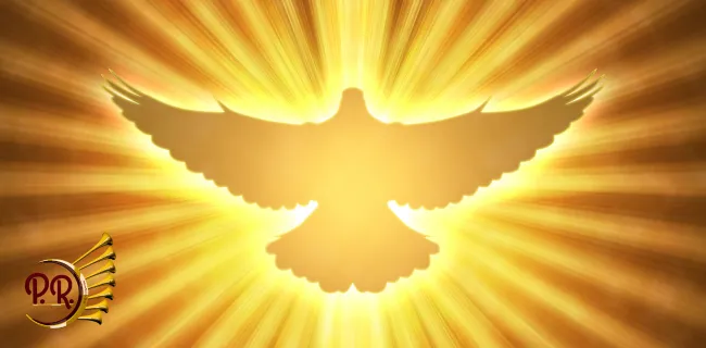 Pomba de asas abertas envolvida em luz dourada. Representação do batismo com o Espírito Santo e com fogo.