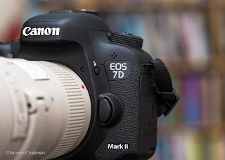 Canon EOS 7D Mark II - First Impressions and Test Shoots Cape Town