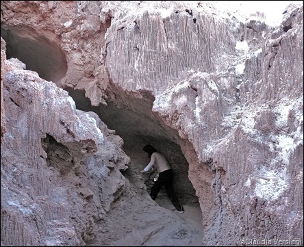 P1160957bx