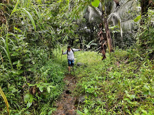 Zambales Trekking