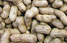 Gizi dan Manfaat Kacang Tanah bagi Kesehatan Tubuh