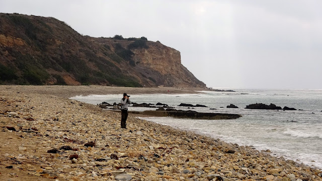 Rancho Palos Verdes Beach