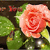 For You