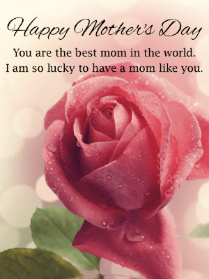 happy-mothers-day-roses-images-2024