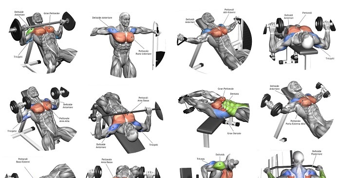 5 Tips For the Best Chest Workout ~ multiple fitness