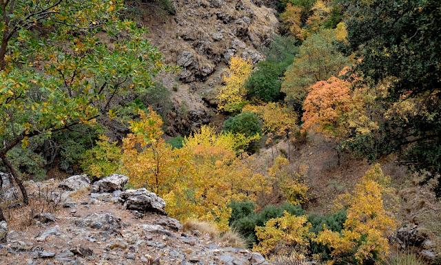 Camarate de Lugros, Granada, Bosque encantado, Senderismo