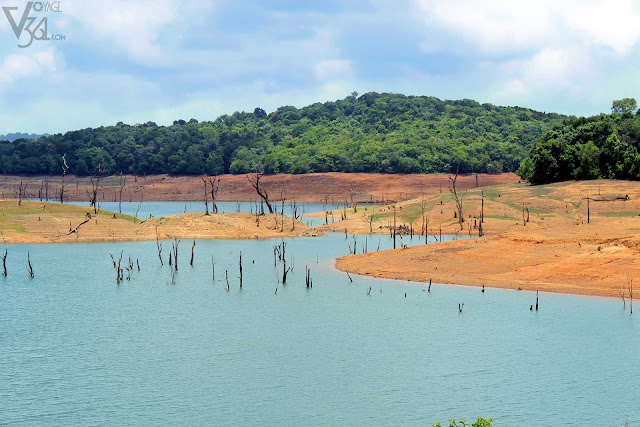 Sharavathi river backwaters