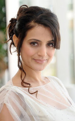 ameesha patel wallpaper gallery 