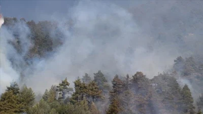 Sardinia as fires ravaged around 20,000 hectares