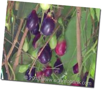 clip_image012