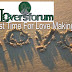 Best Time for Love Making