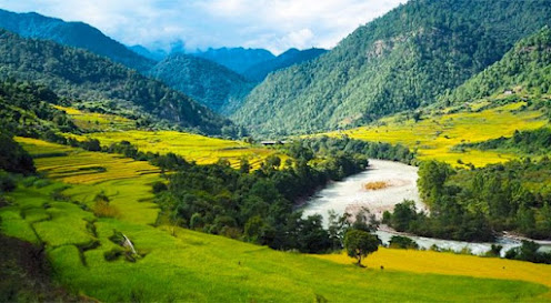 Bhutan Package Tour from Surat