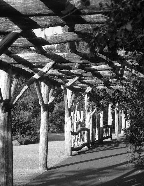 Wooden arbor in black and white