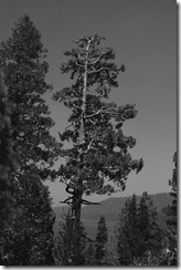 IMG_0184_2