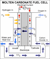 Molten Carbonate Fuel Cells