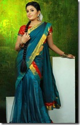 Raattinam Swathi in Saree Portfolio Stills