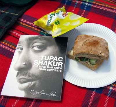 picnic, England, rug, sandwich, Tupac, poetry, reading in sunshine 