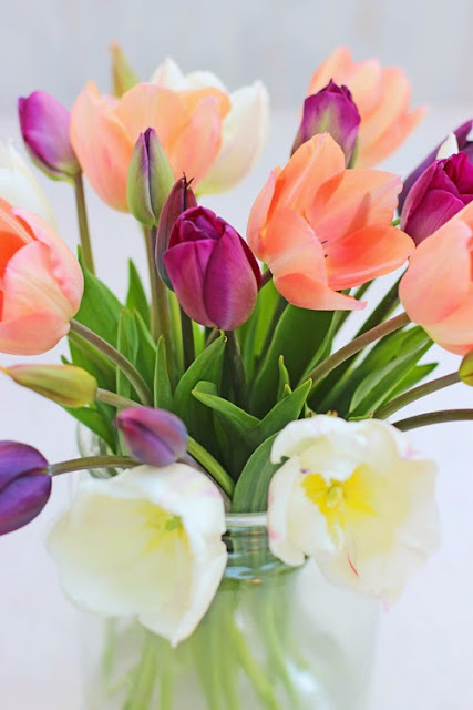 Colourful Tulips