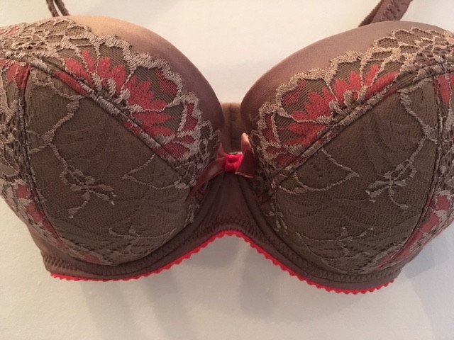 ewa michalak, bra obsessed, pl chalet, my thoughts on bras, bras