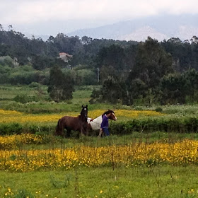 By E.V.Pita (2014), St James' Way from Santiago to Finisterre Cape / Por E.V.Pita (2014),Camino de Santiago hasta el cabo Fisterra