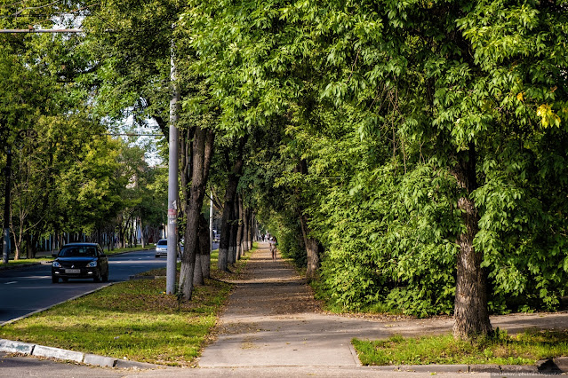 Пешеходная дорожка вдоль дороги в тени деревьев