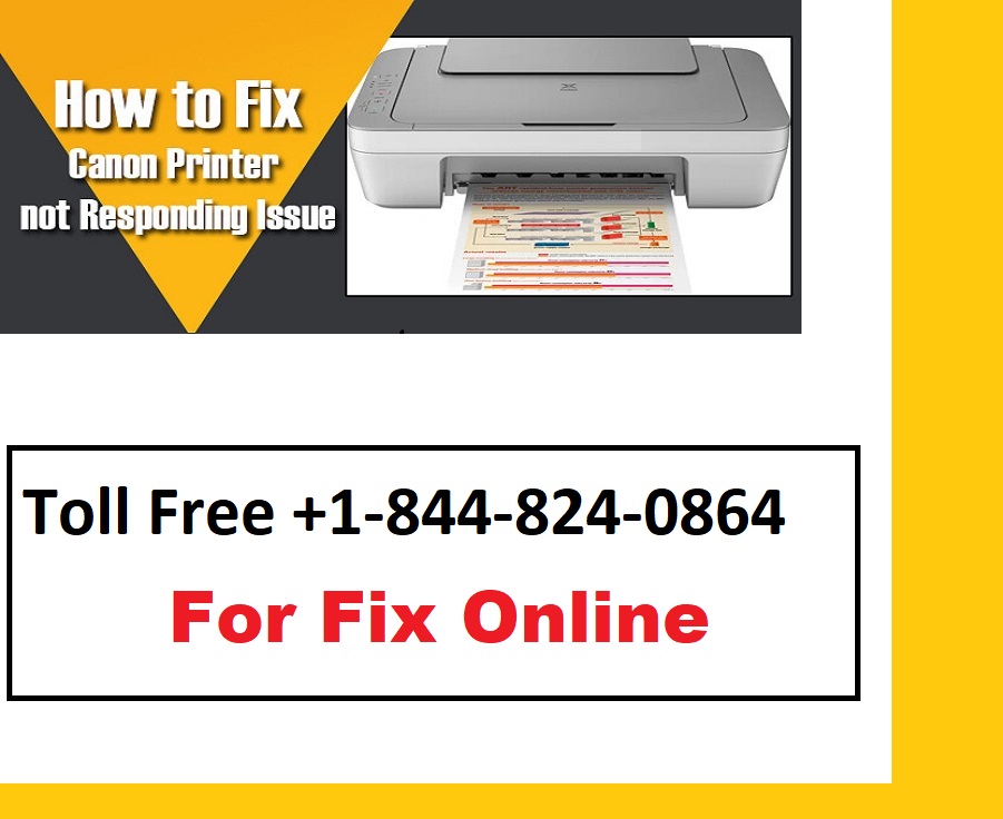 How to Troubleshoot Canon Printer Not Responding Error?