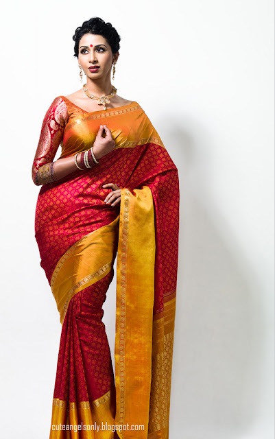 Gayathri_Venkitgeri_Saree_Photoshoot