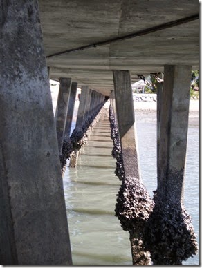 M'borough Under the Pier