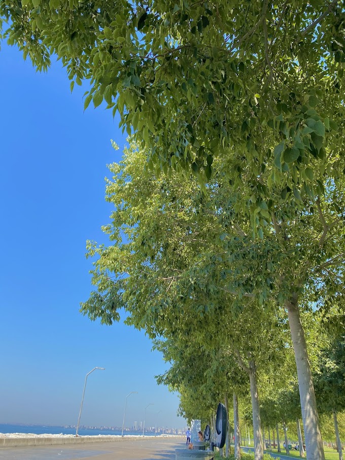 198- farjad,  adalar ve daha bir sürü şey