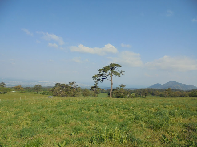 大山牧場みるくの里