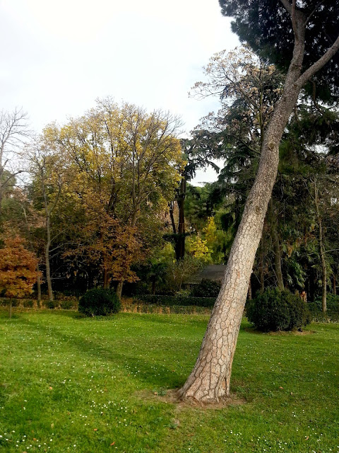 El Retiro en Otoño. Madrid me mata... pero no siempre.