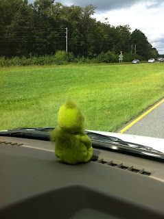 The Grinch on the road