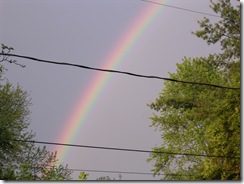 rainbow 3