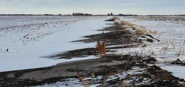 Wind erosion nutrient loss soil moving cost farmers fertilizer minnesota north dakota