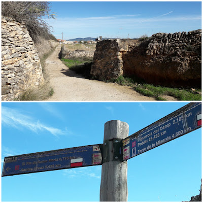 Prenafeta a Santes Creus GR-175 Ruta del Cister, Camí del  Mas del Llop a El Pla de Santa Maria