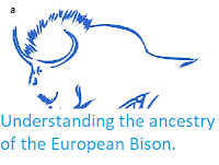 http://sciencythoughts.blogspot.com/2016/10/understanding-ancestry-of-european-bison.html