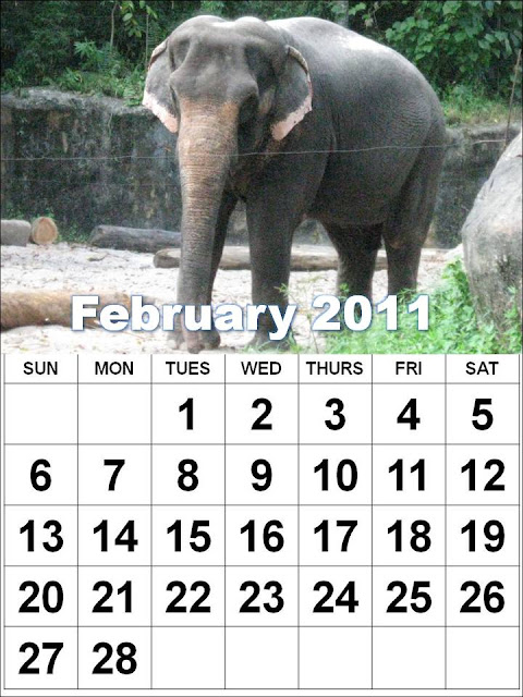 2011 calendar printable february. 2011 calendar printable february. Calendar+2011+february+
