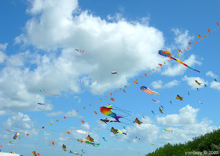 sky full of kites 2007